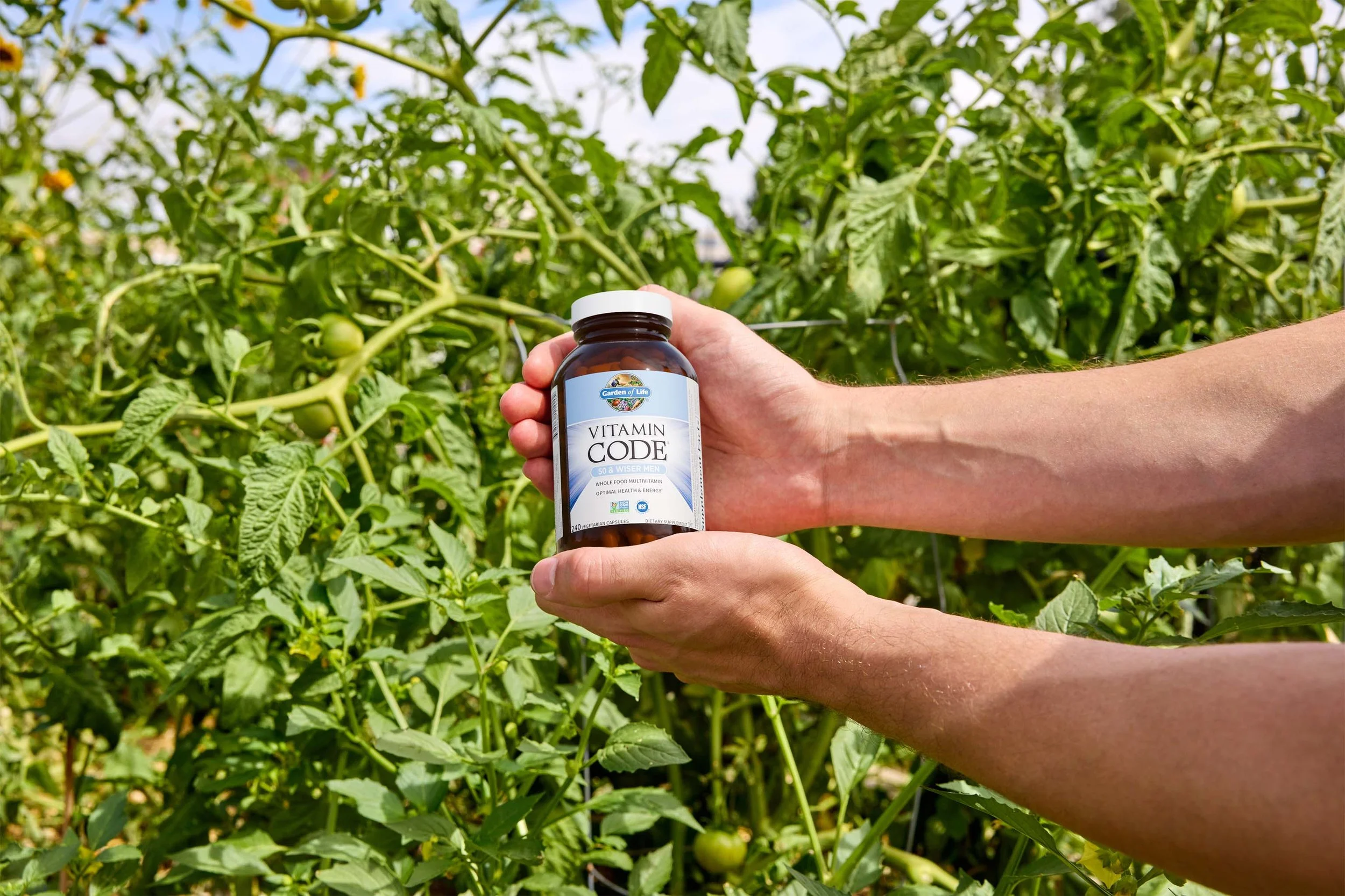 Person holding a bottle of vitamins among green tomato plants in a garden.