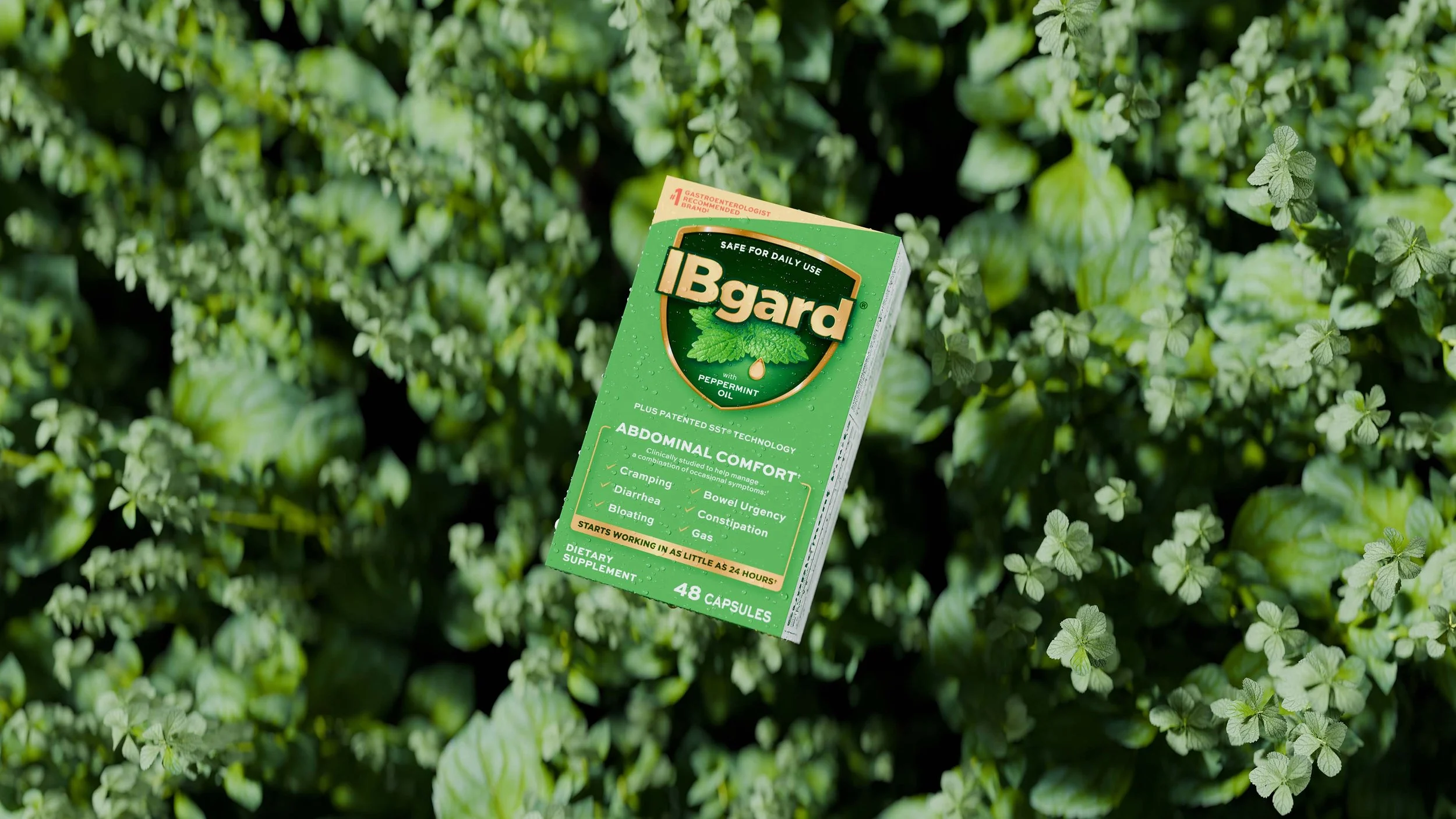 A box of iBgard dietary supplement capsules with peppermint oil resting on green foliage