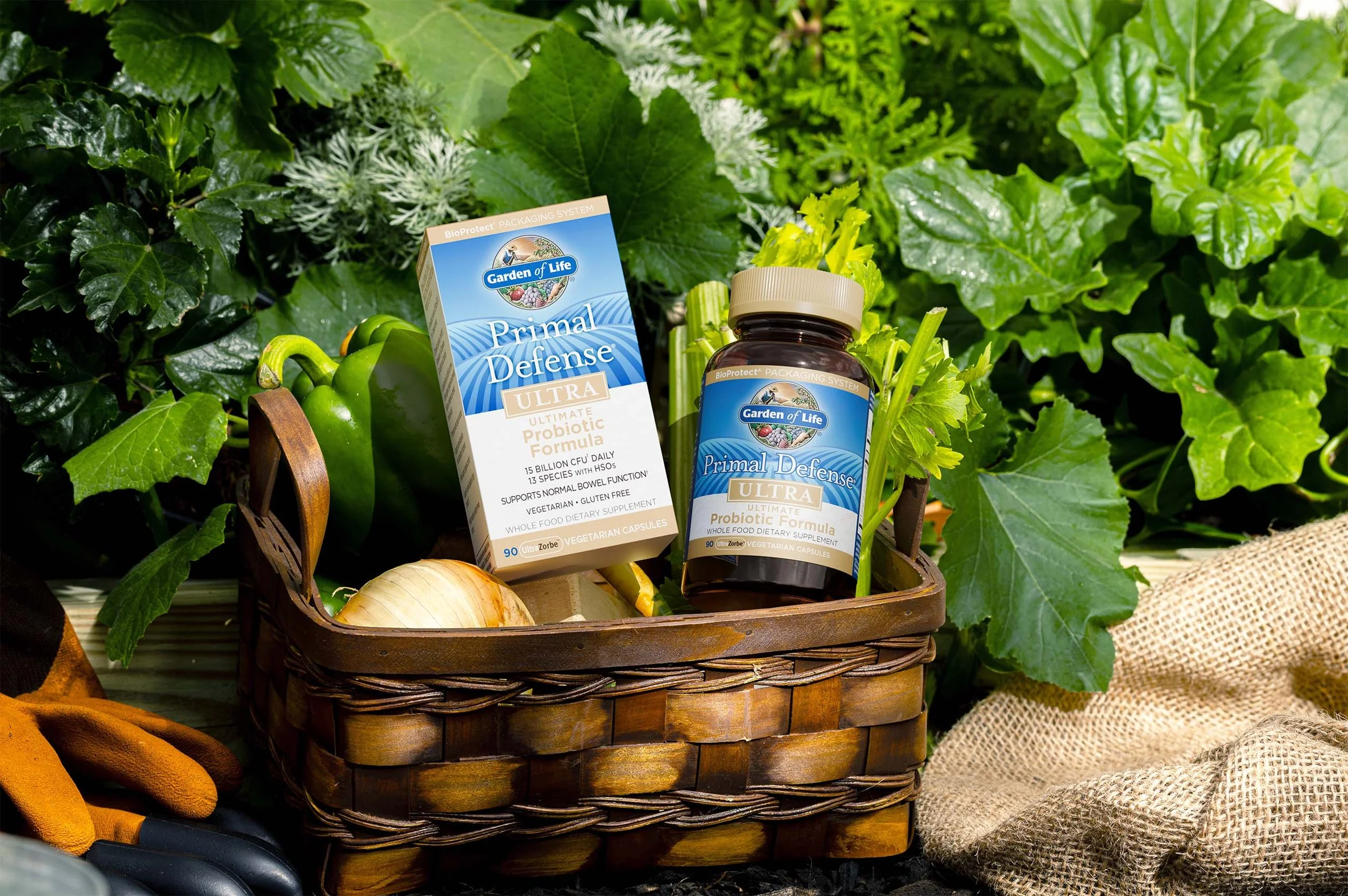 Garden of Life Primal Defense Ultra probiotic formula bottles in a woven basket surrounded by green leafy plants, onions, gardening gloves, and burlap.
