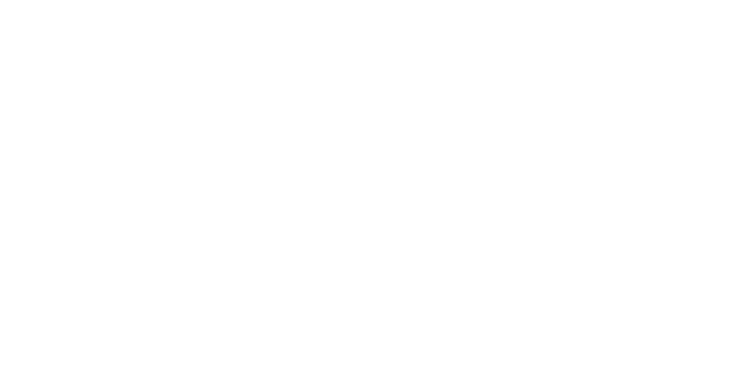 Vizioart
