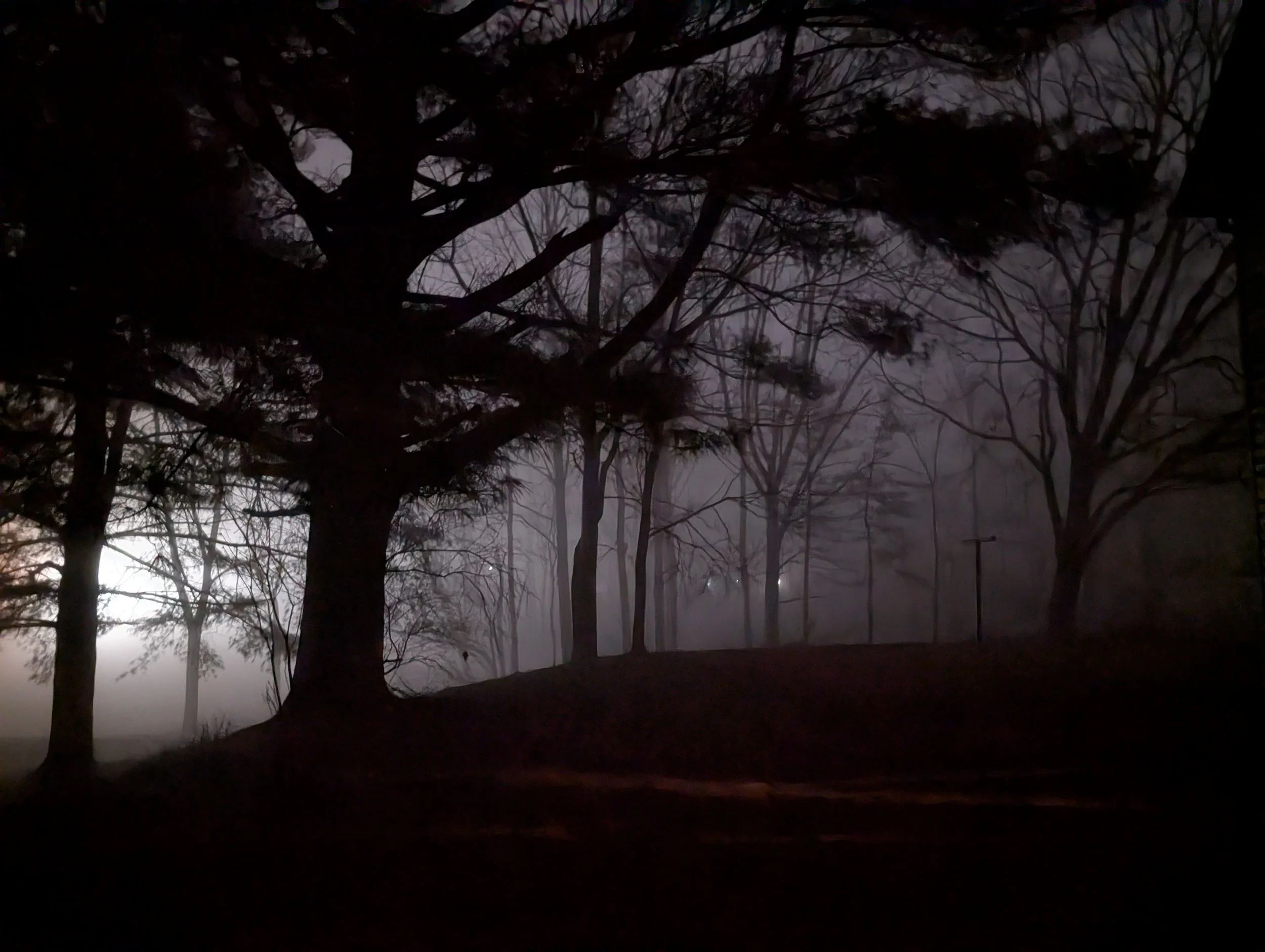 Magnificent Landscapes