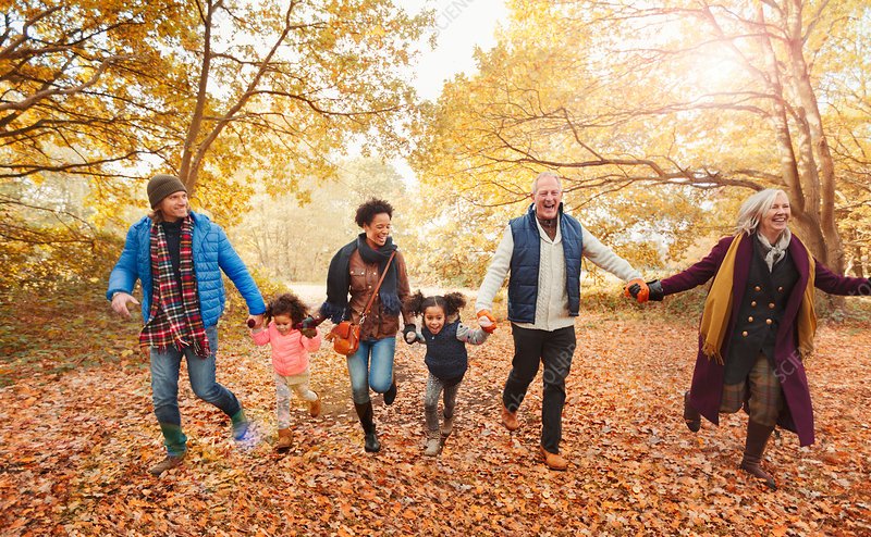 Pillars of Parenting: Anchoring Yourself & Family