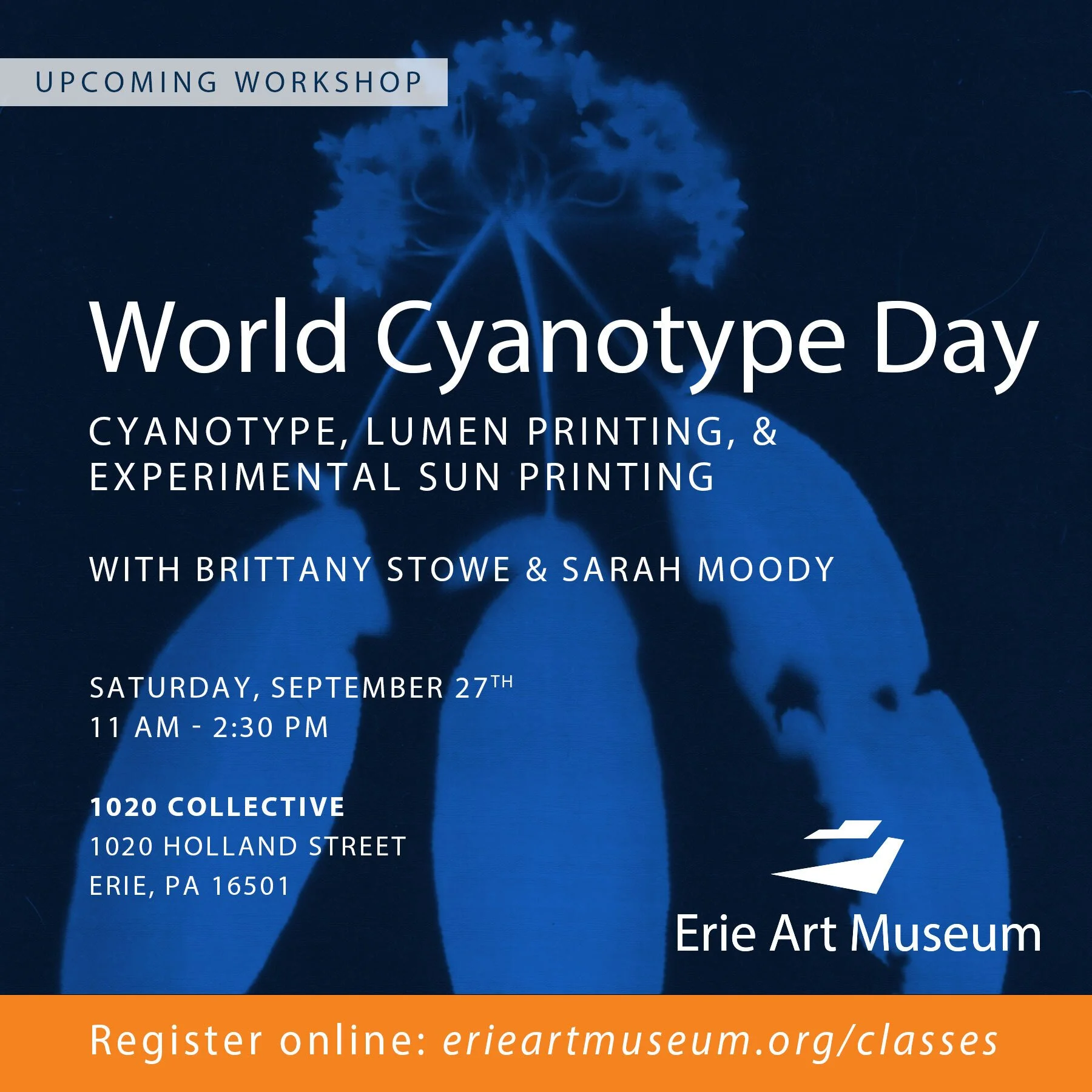 World Cyanotype Day