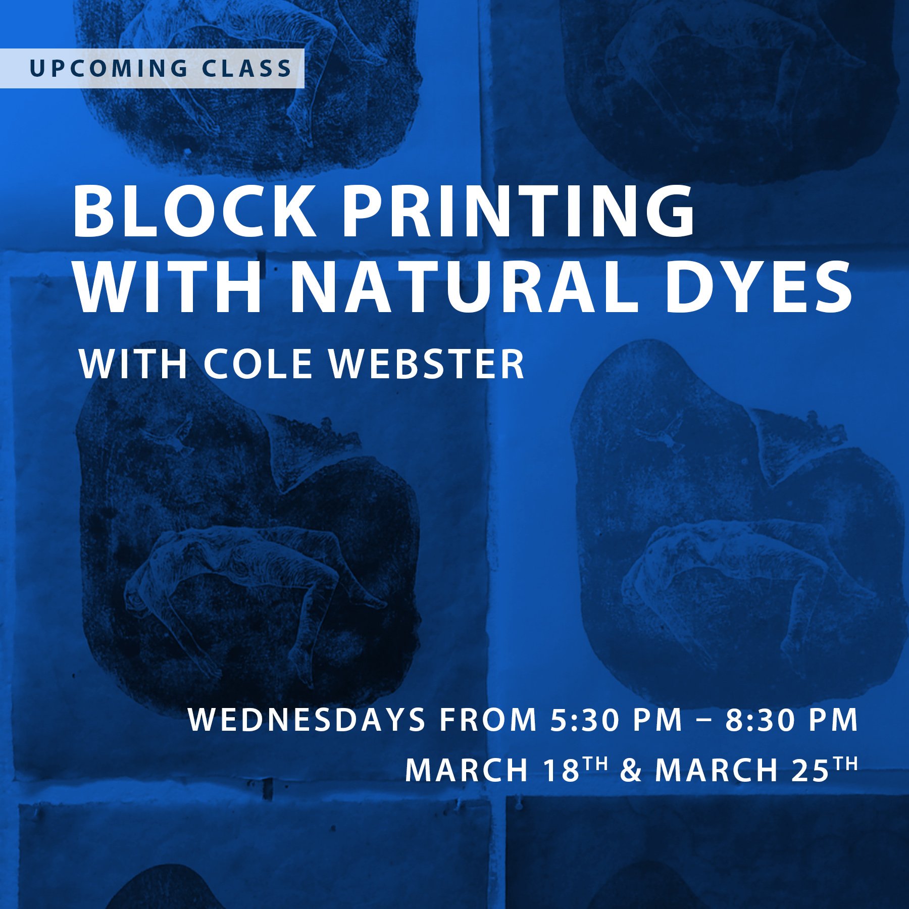 Block Printing with Natural Dyes