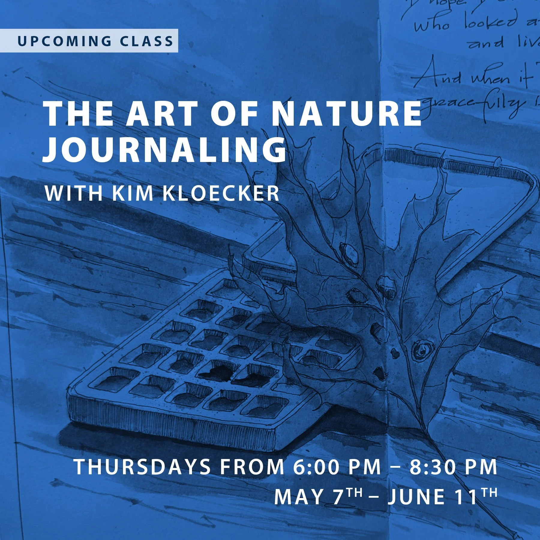 The Art of Nature Journaling