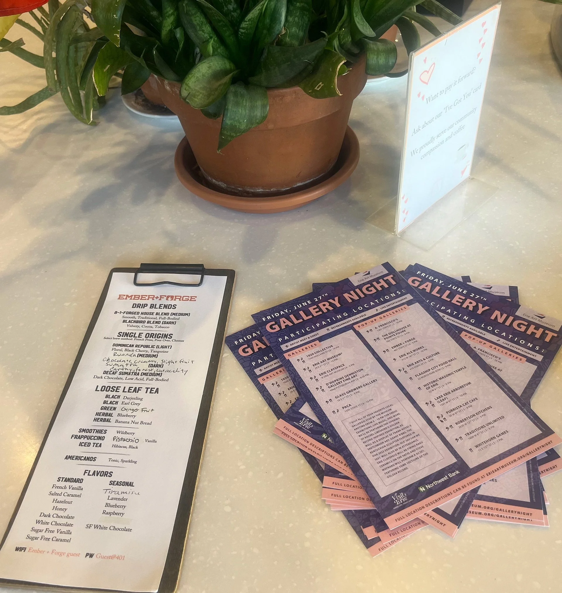 Gallery Night event flyers and a beverage menu arranged on a countertop beside a potted plant.