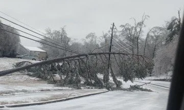 4104921268237086185 2.jpeg