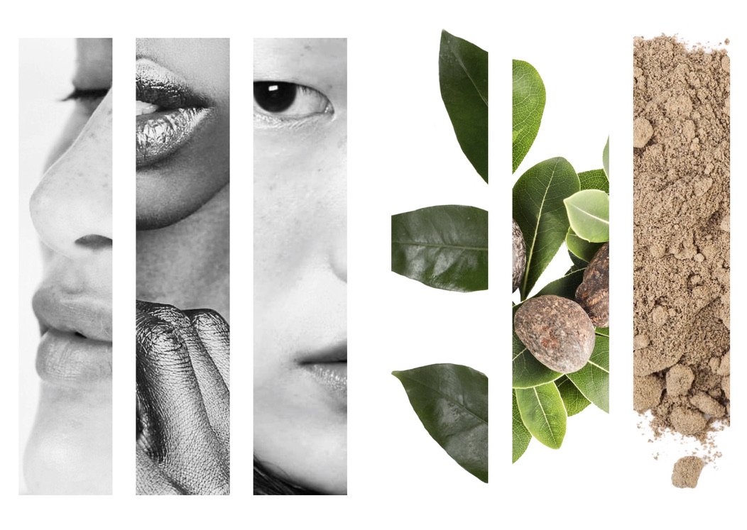 MOGI MOUSSE SKINCARE