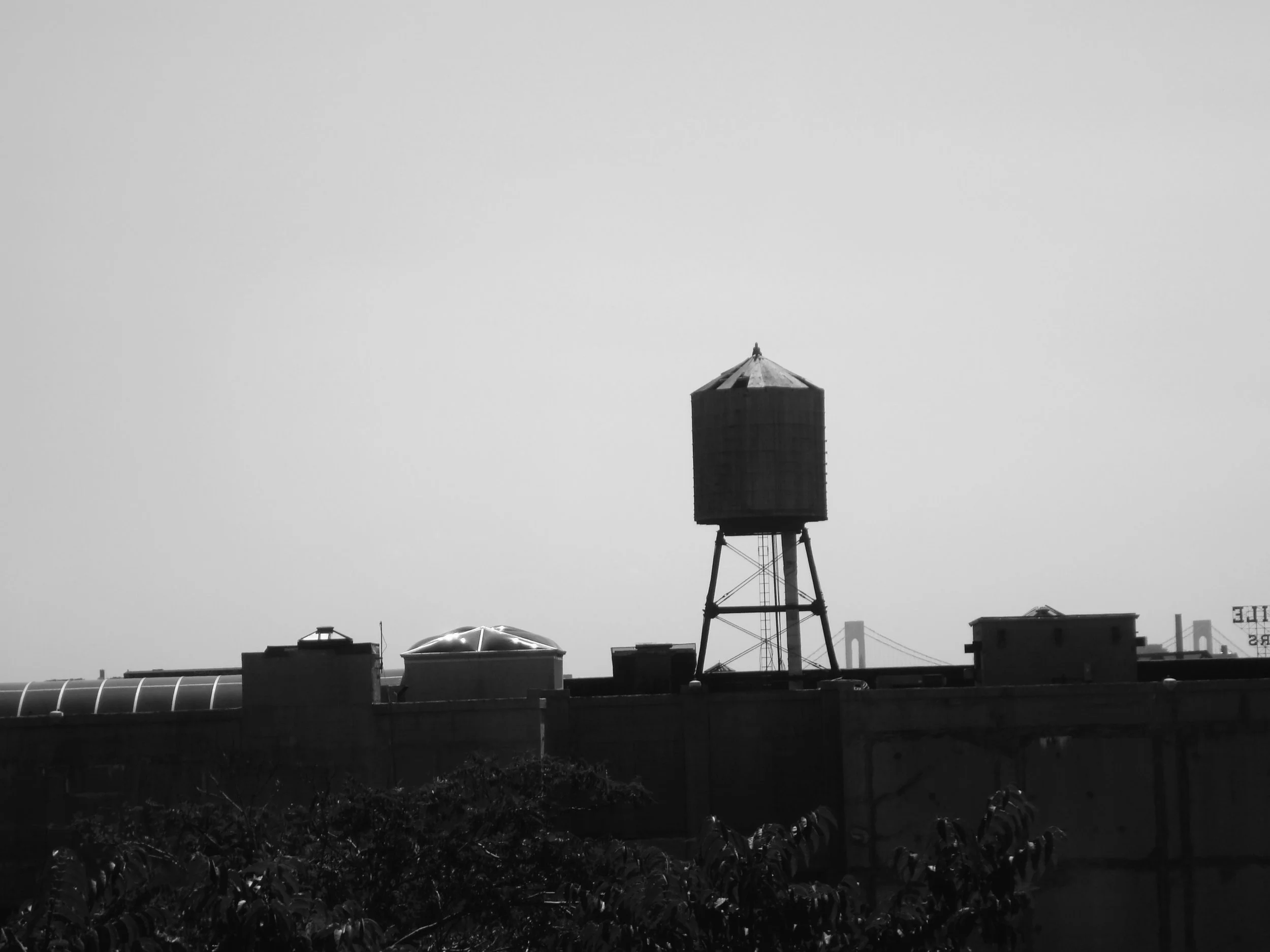 My Neighborhood, Brooklyn, NY ©1999 Gyzellah