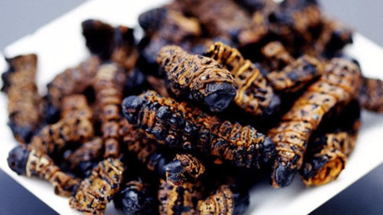 Madora (Mopane Worms): The Crunchy Delicacy That's a True Zimbabwean Treat