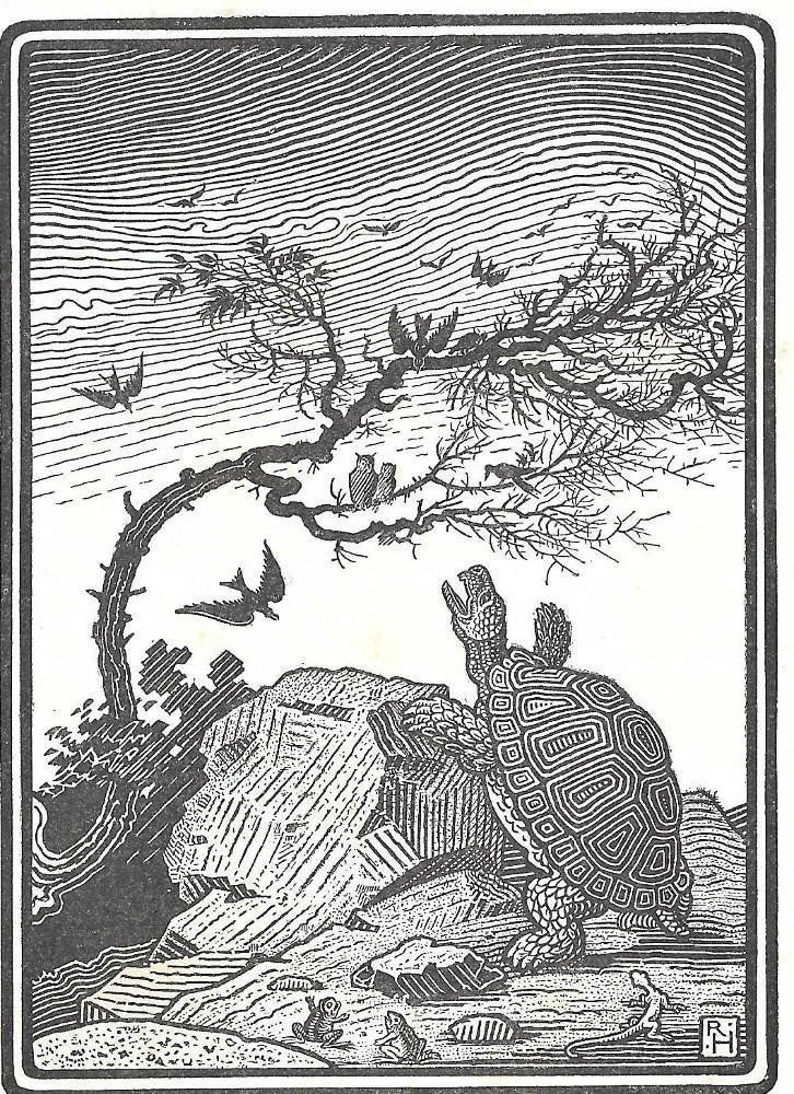 Tales of Wisdom: What African Fables Teach About Community — NKENNE