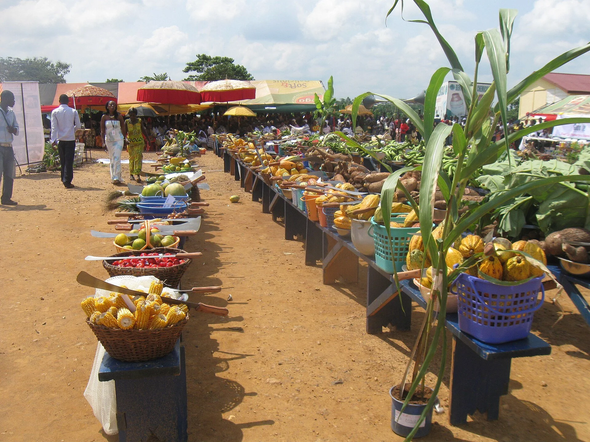 Farmers gathered for National Farmers’ Day in Ghana’s Ashanti Region
