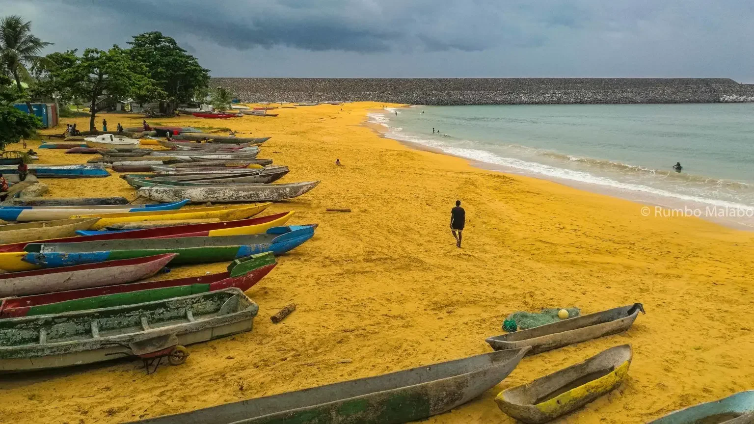 The Hidden World of Gulf of Guinea Creoles: Forro, Principense, and Annobonese