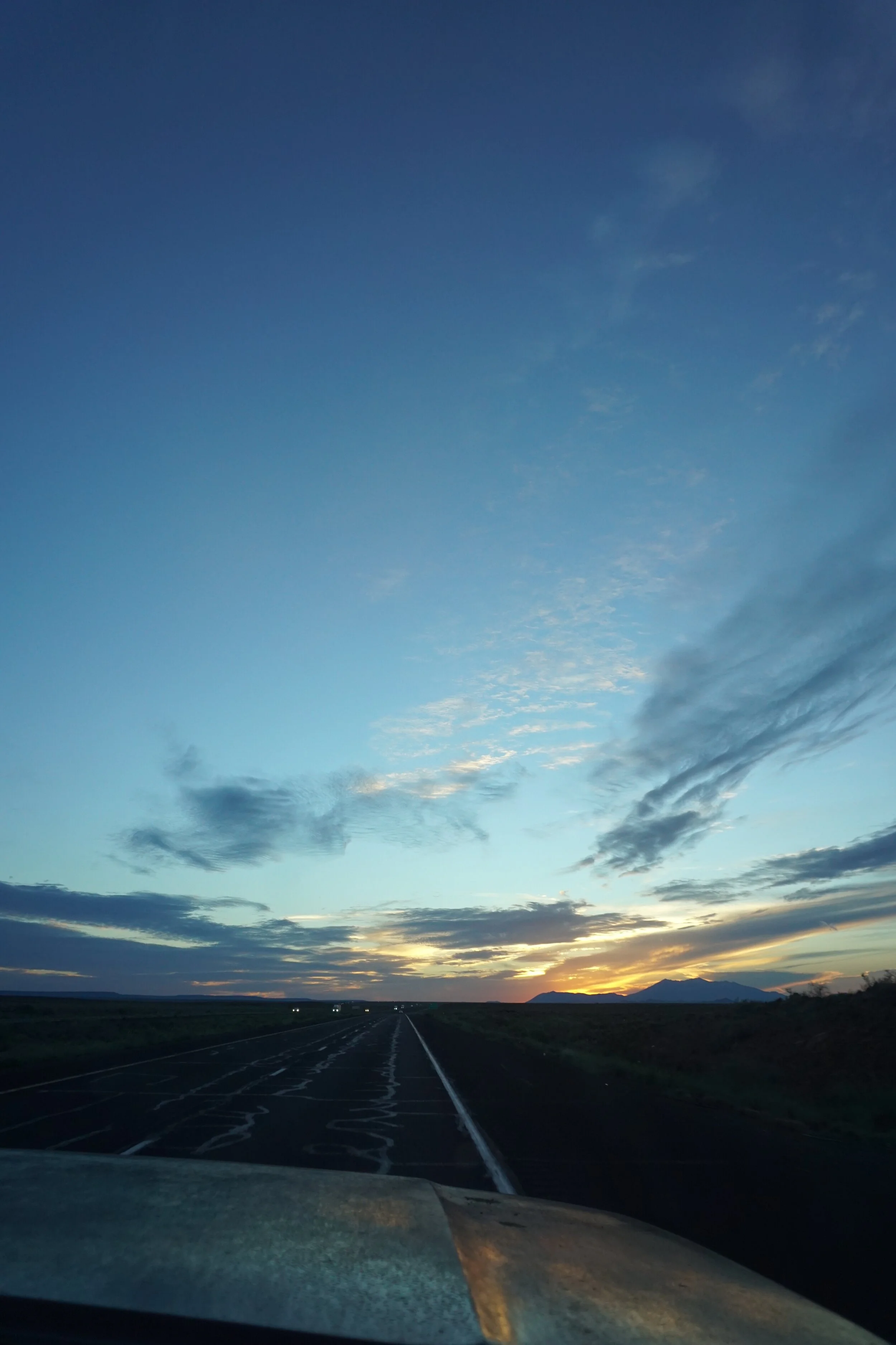 DSC00993.jpg