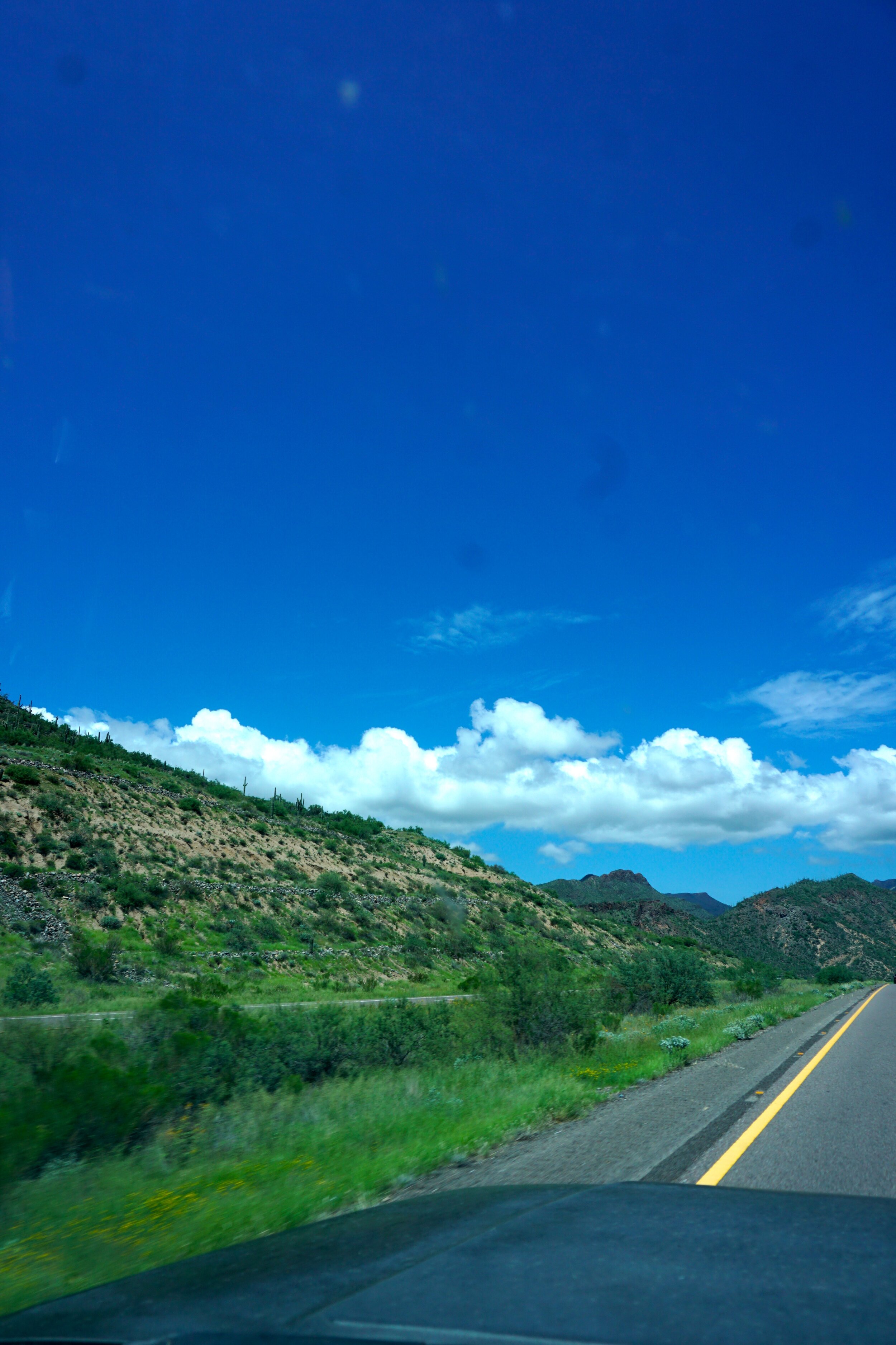 DSC00889.jpg