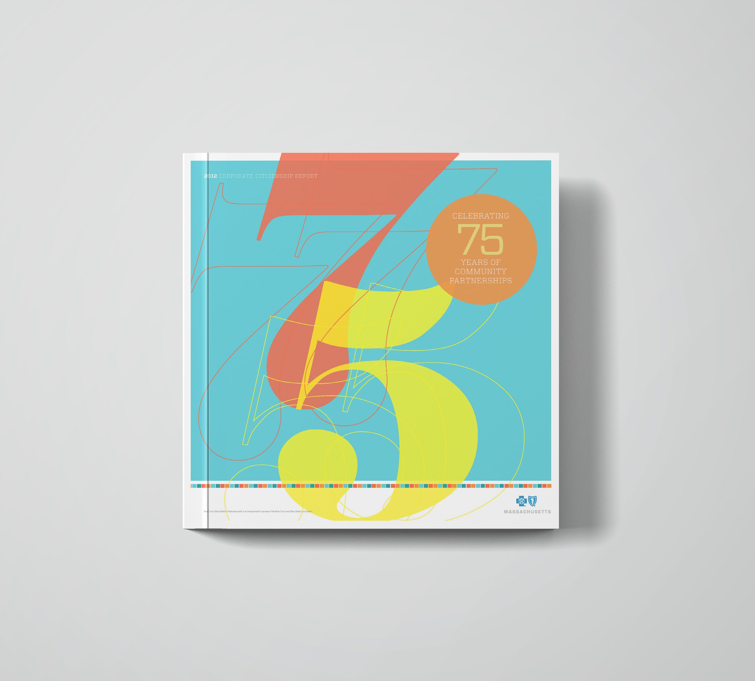 BCBS_cover_mockup.jpg
