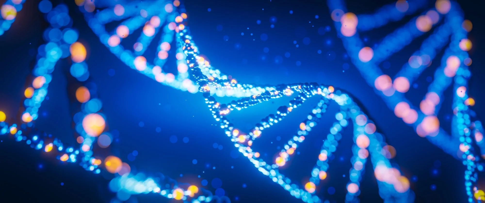 Unlocking Your Leadership DNA: Discovering the Core That Drives How You Lead