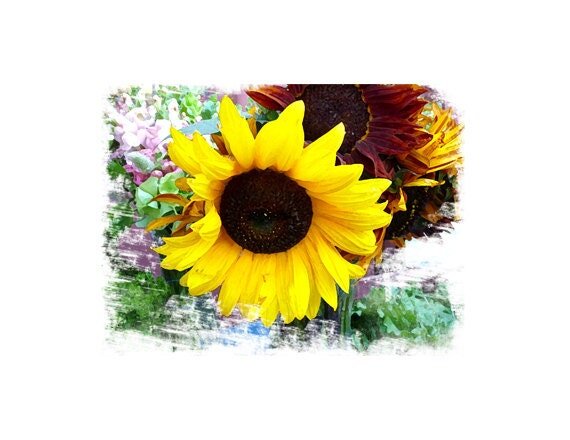 https://i.etsystatic.com/5230043/r/il/9c034b/315518226/il_fullxfull.315518226.jpg