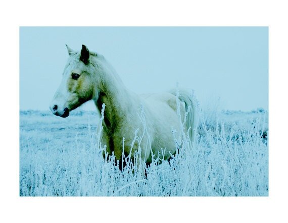 https://i.etsystatic.com/5230043/r/il/7e2dd4/422588035/il_fullxfull.422588035_cxgn.jpg