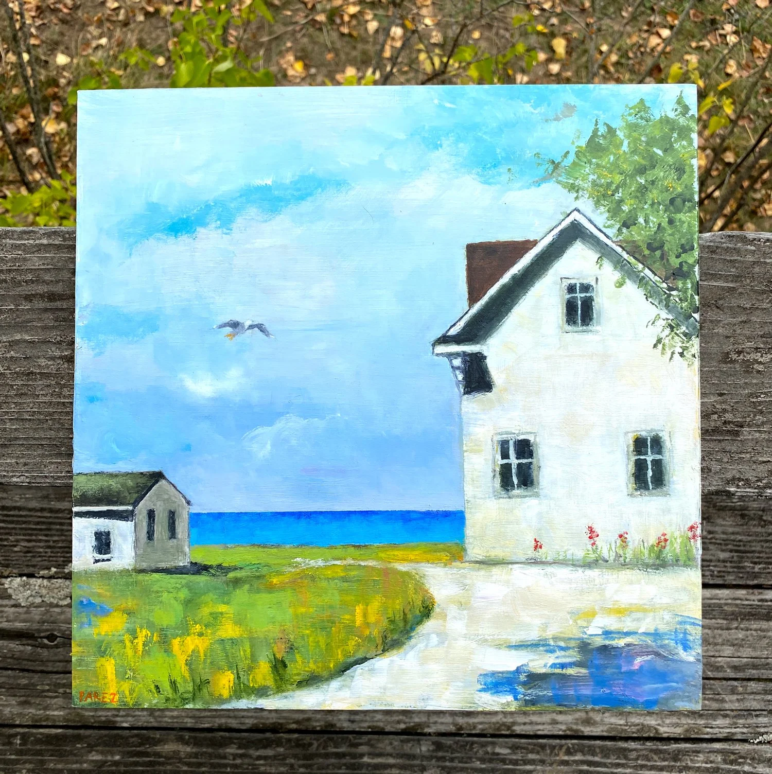 grandpa_house_IMG_6749w.jpg