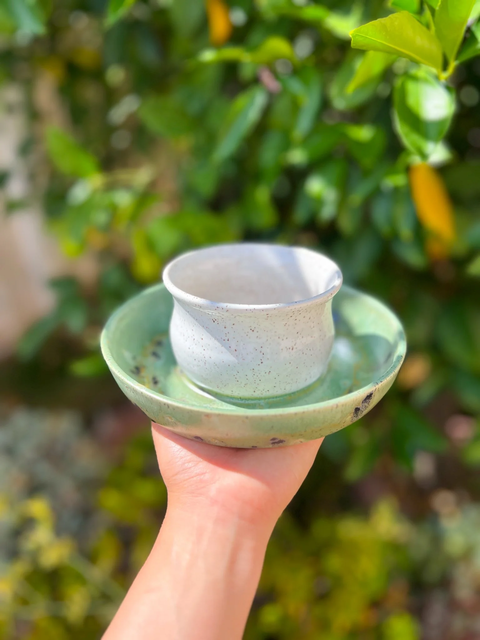 Everglade C (cauldron)