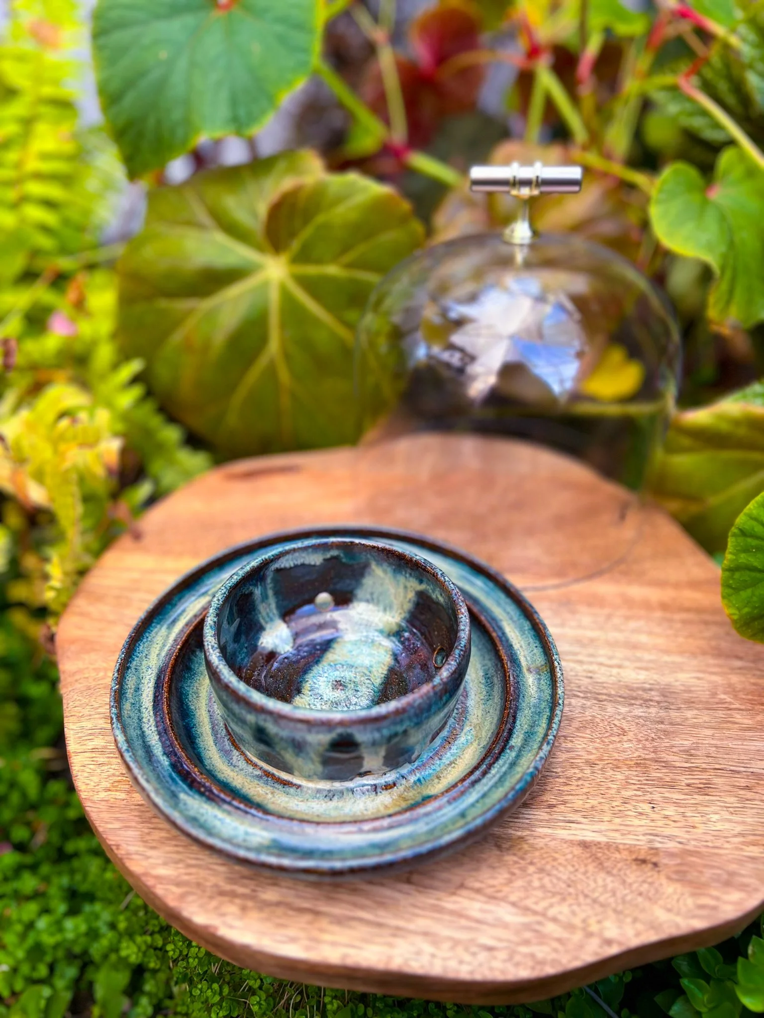 Taro Greenhouse 5x7 5 Inch Dome Discounted Understory Labyrinth taro-greenhouse-5x7-5-inch-dome-discounted-understory-labyrinth