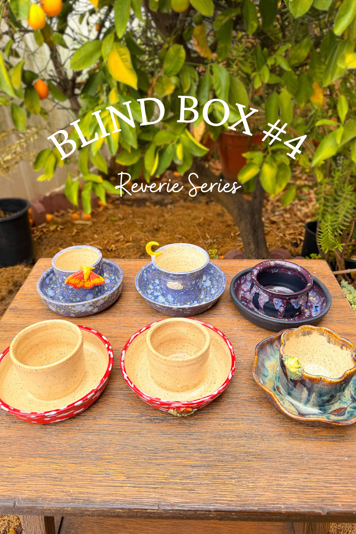 Blind Box #4 Reverie Series