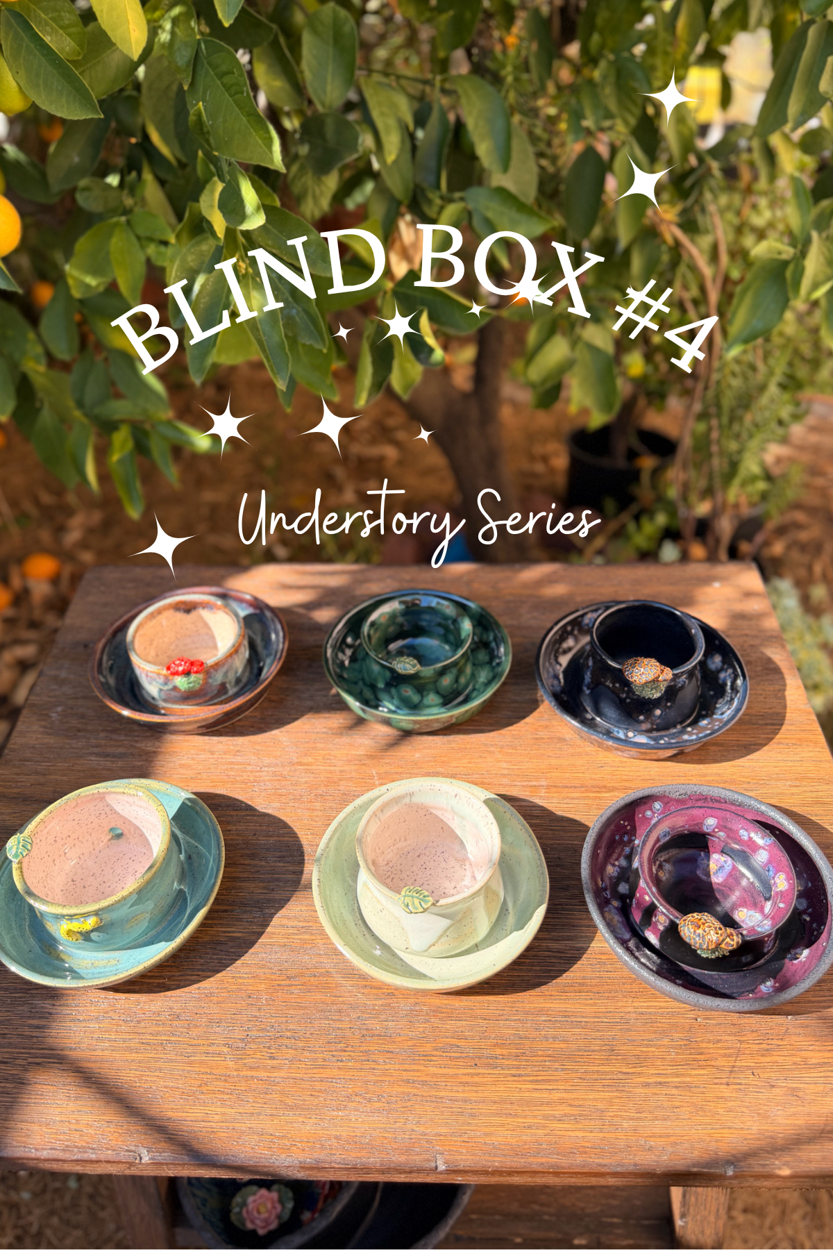 BLIND BOX #4 Understory Series