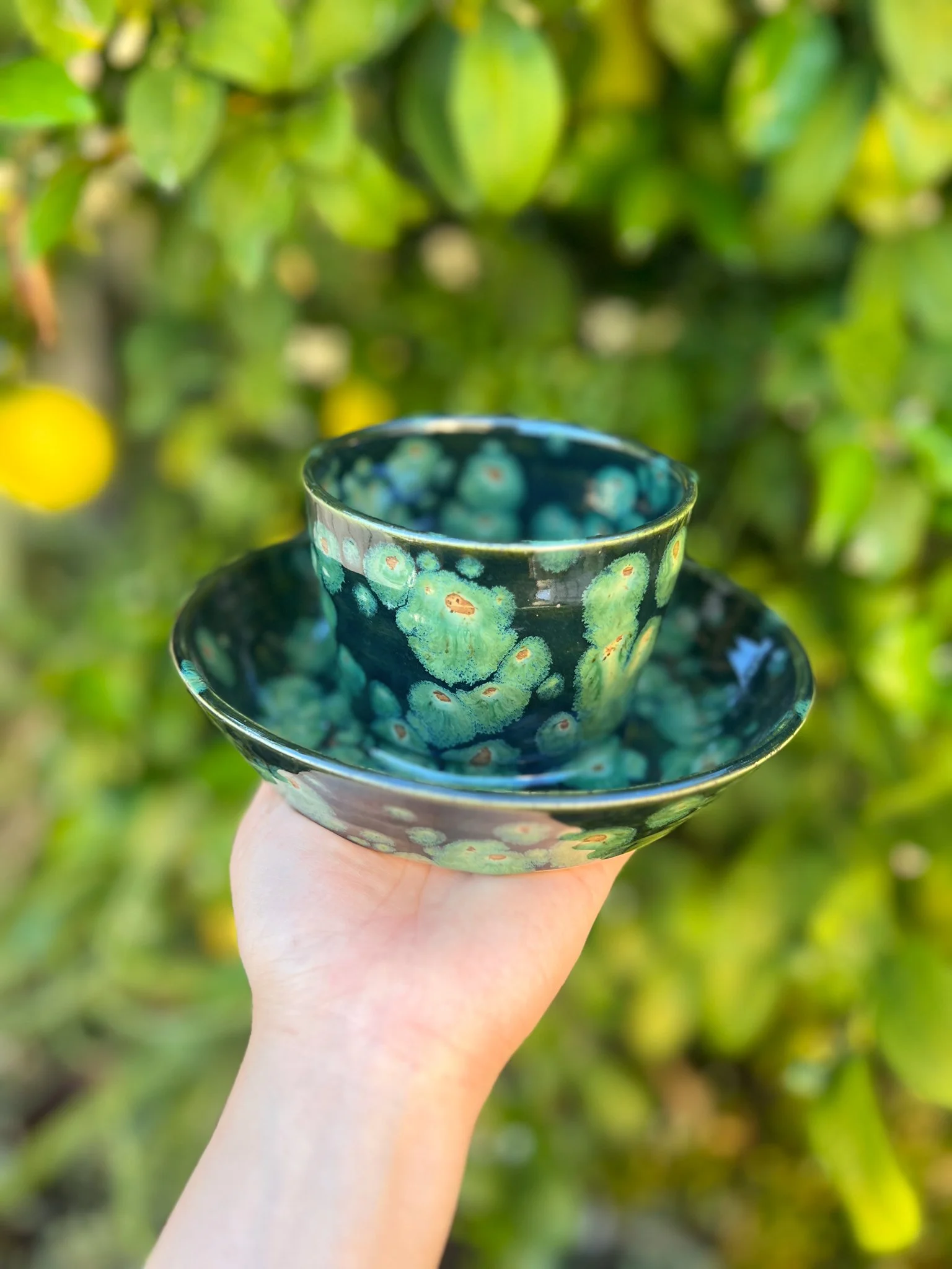 Lily Pad D (Round) "Discounted"