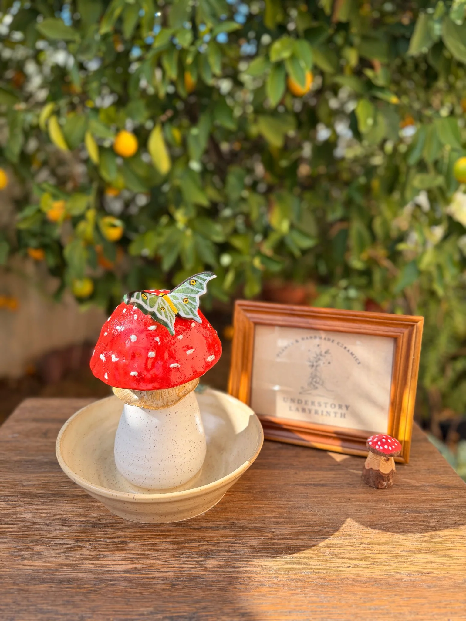 Amanita + Luna Moth (Reverse Ping Pot)