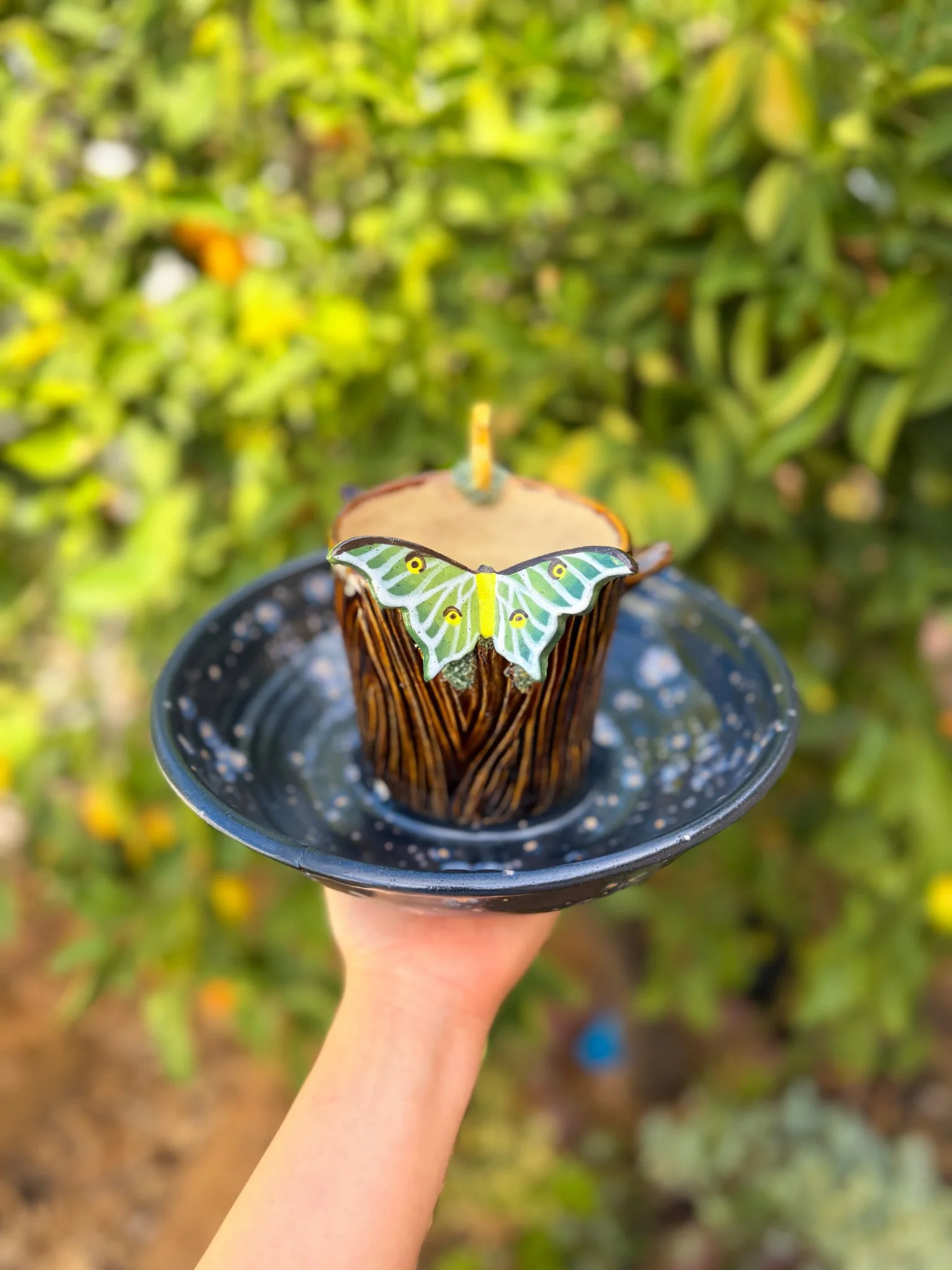 Nebula E (Tree Hollow, luna moth, crescent) "discounted"