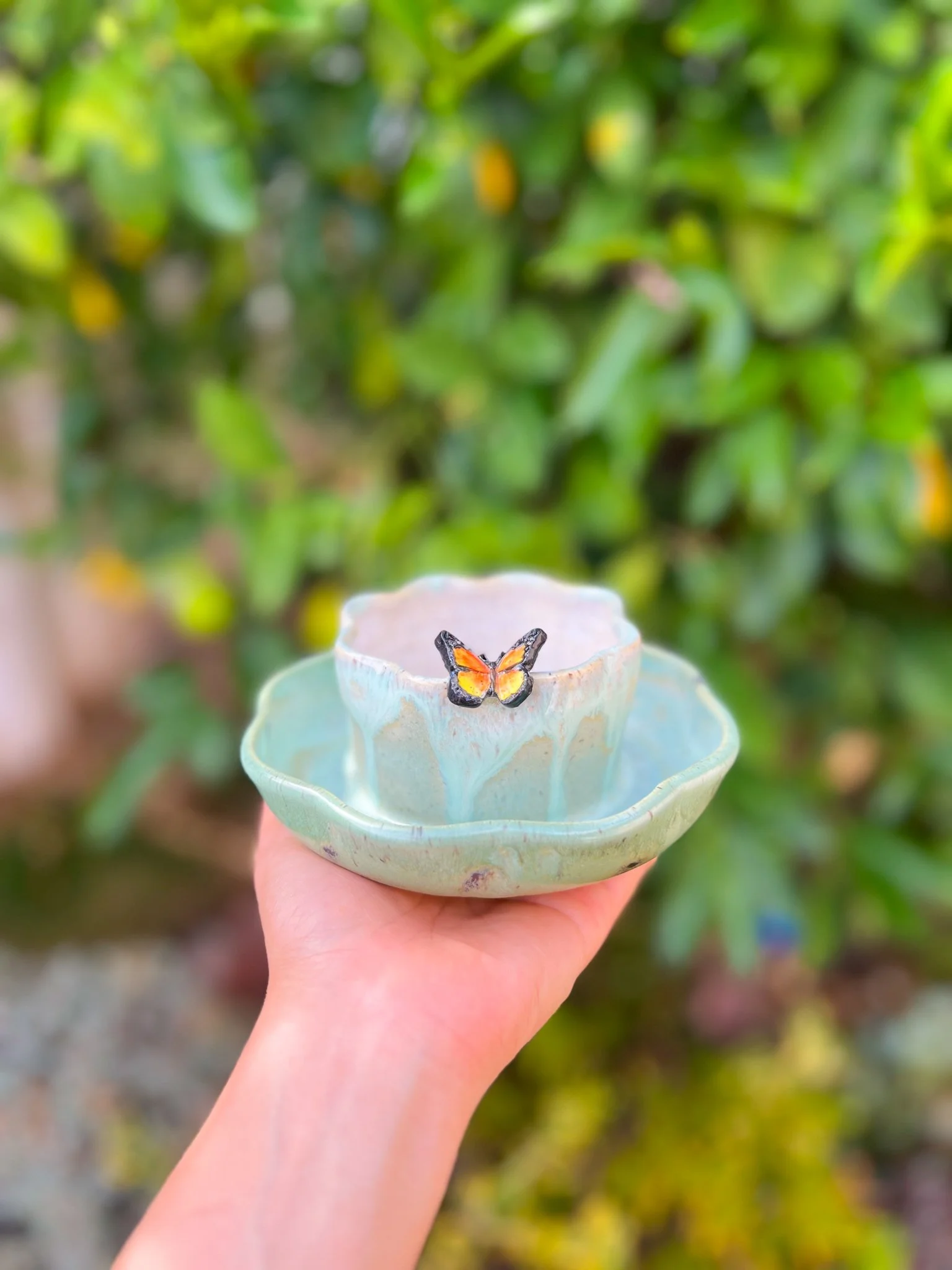 Misty A (8 petal, monarch)