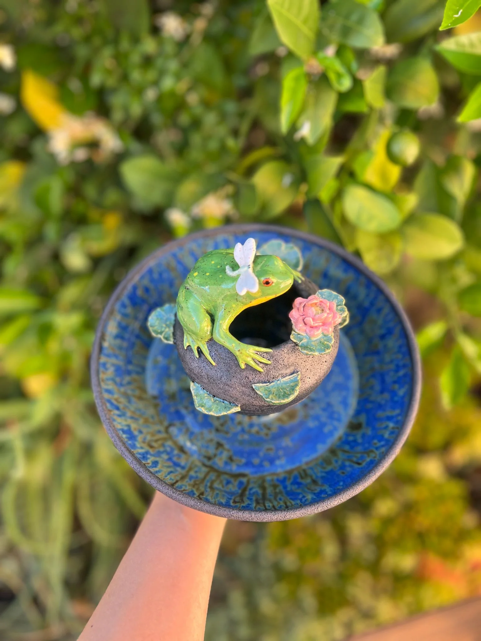 The Frog Pond (Reverse Ping Pot, large frog, lotus, lily pads)