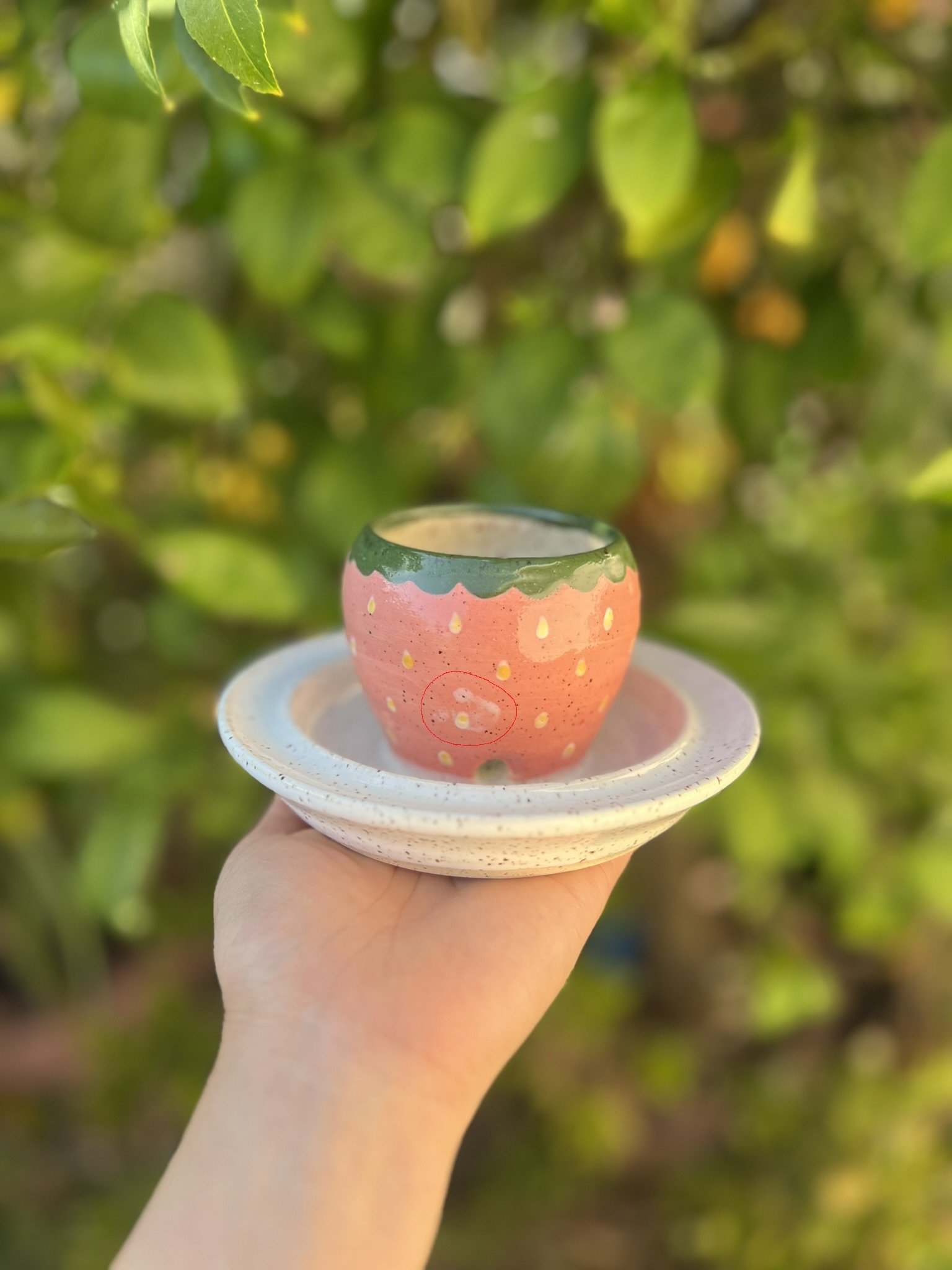 strawberry flaw.jpg