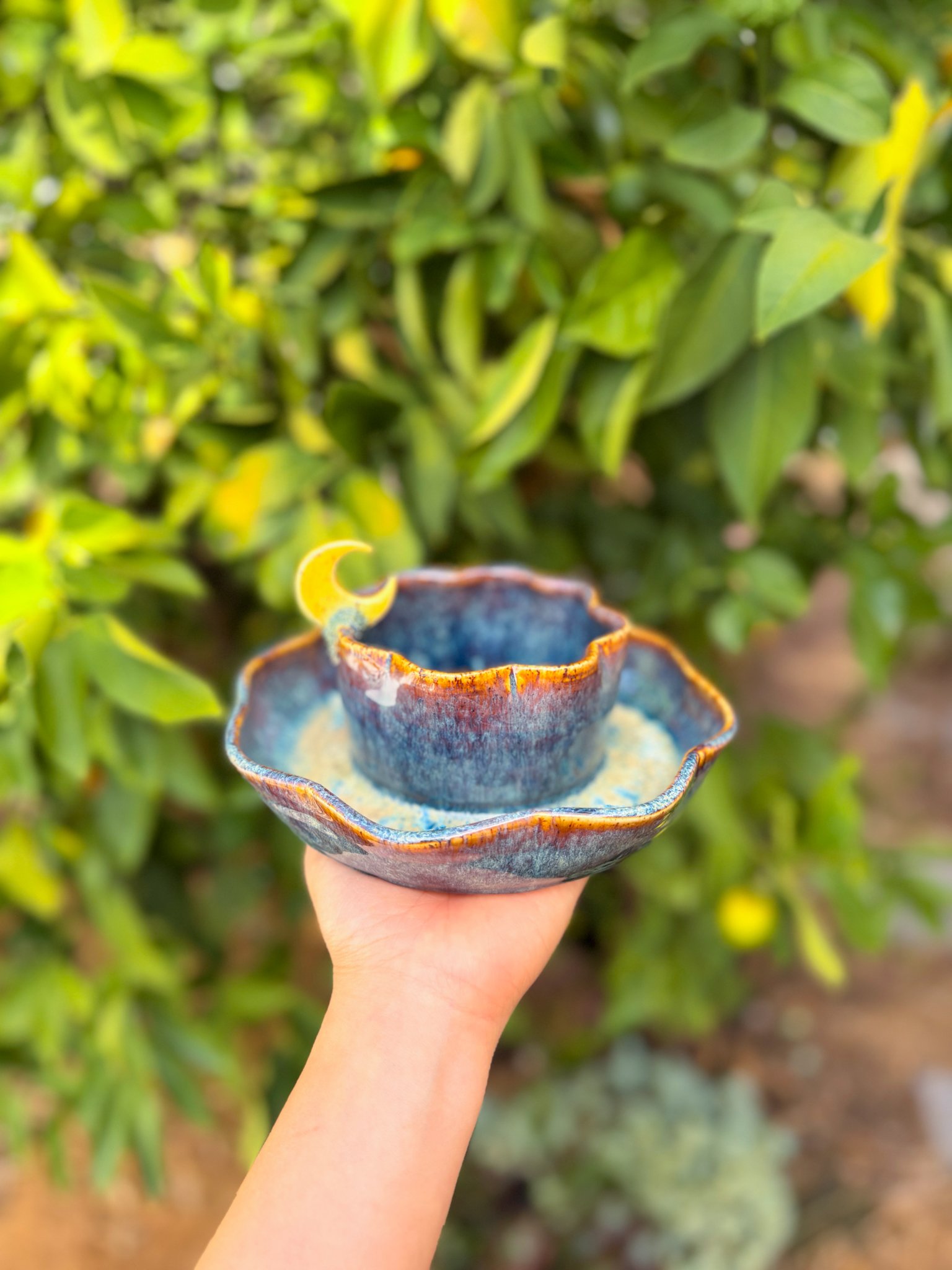 Aurora B (8 petal, crescent) "discounted"