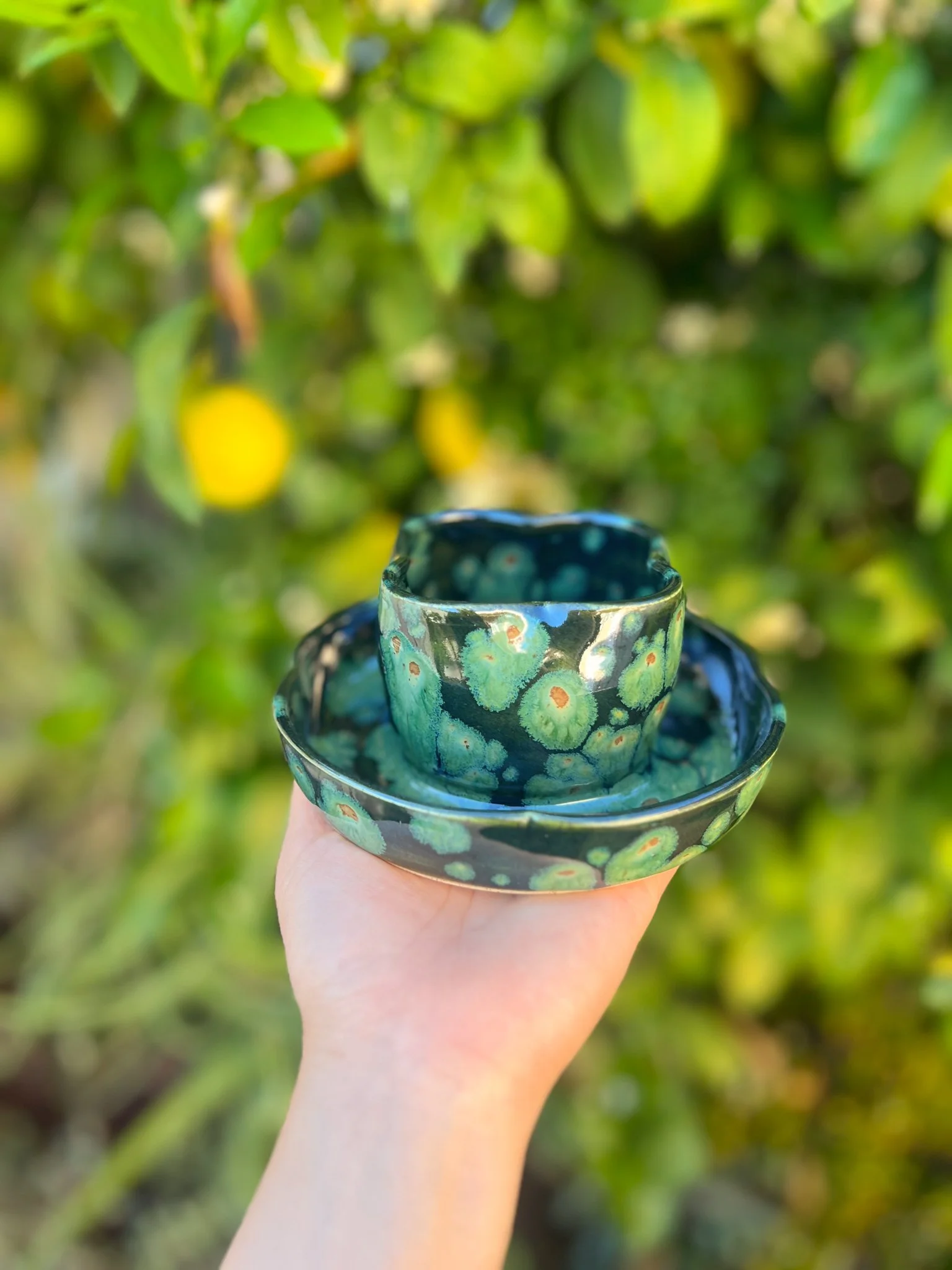 Lily Pad A (4 petal) "discounted"