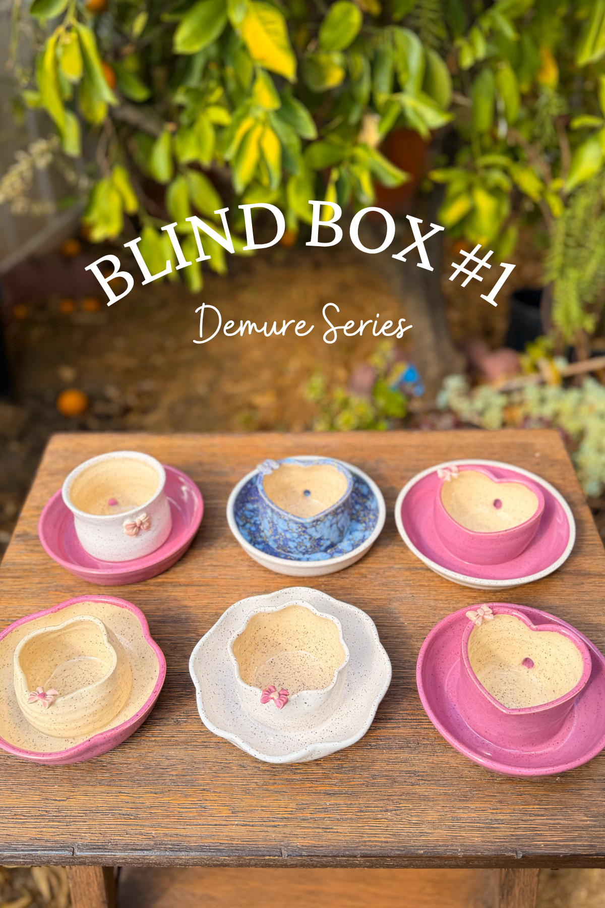 Blind Box #1 Demure Series