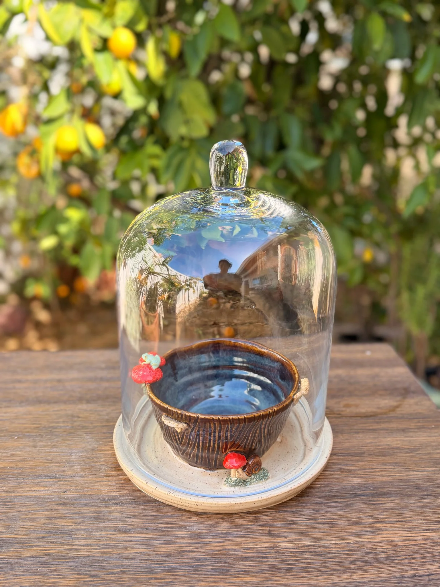 Understory Cloche Greenhouse (frogs+fungi) (7x9 inch dome)