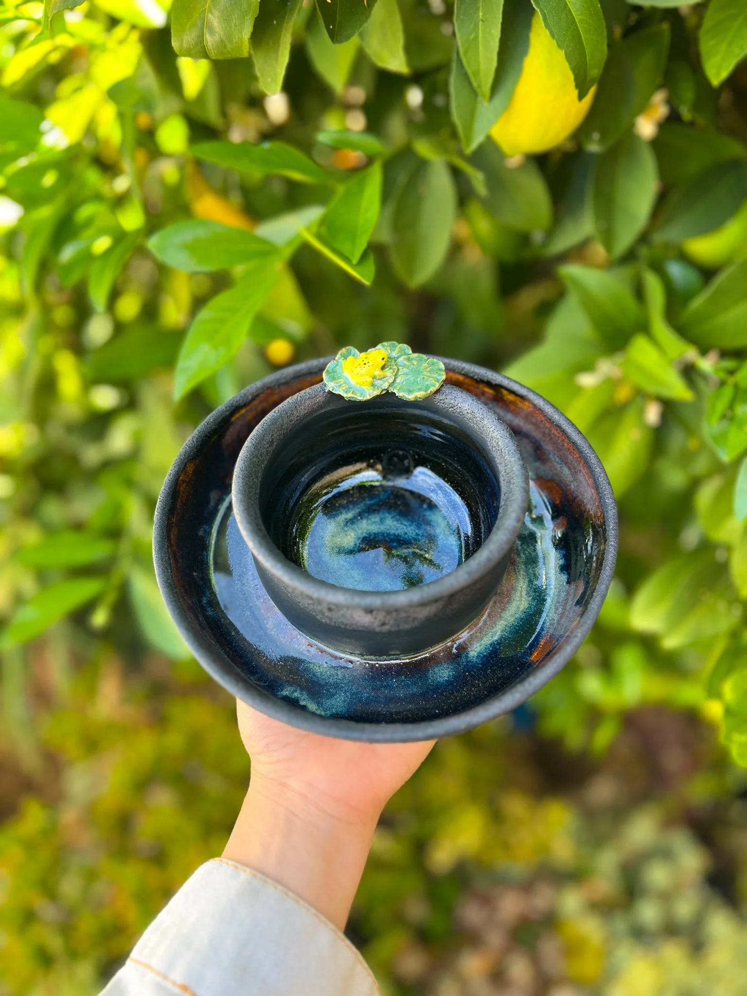 Grotto H (cauldron, frog on lily pads)