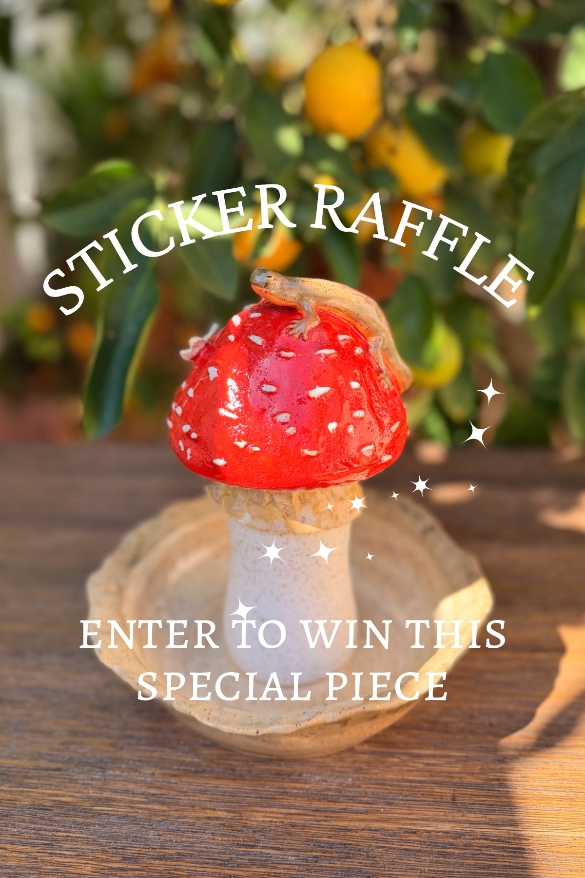 ✦ Sticker Raffle ✦