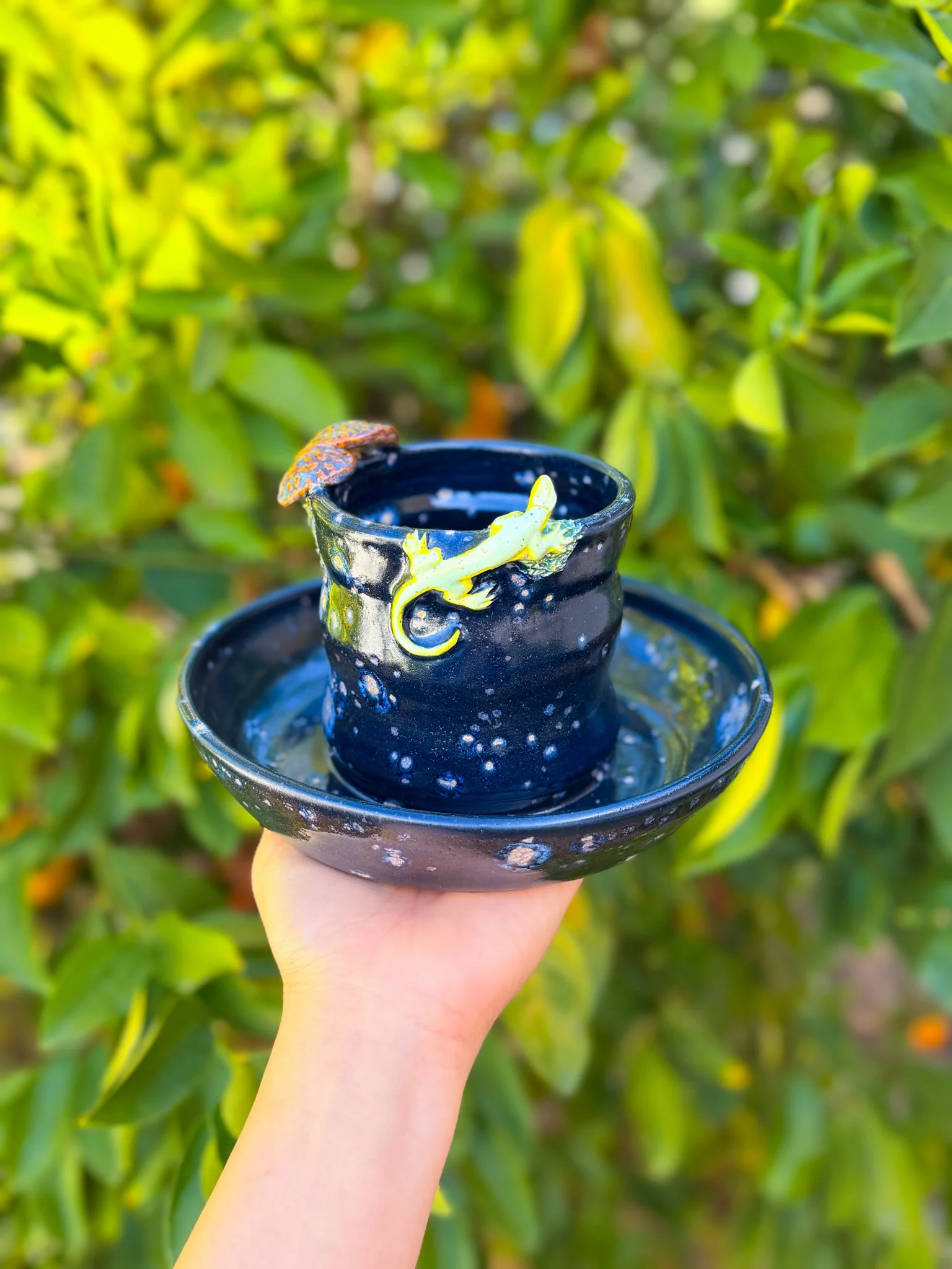 Nebula (Round, lizard, mushroom) "discounted"