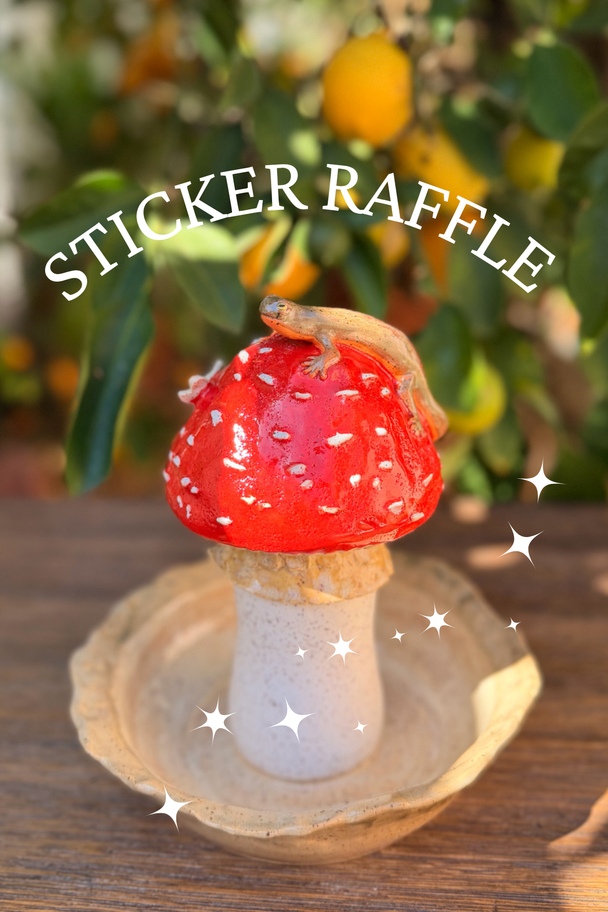 ✦ Sticker Raffle ✦