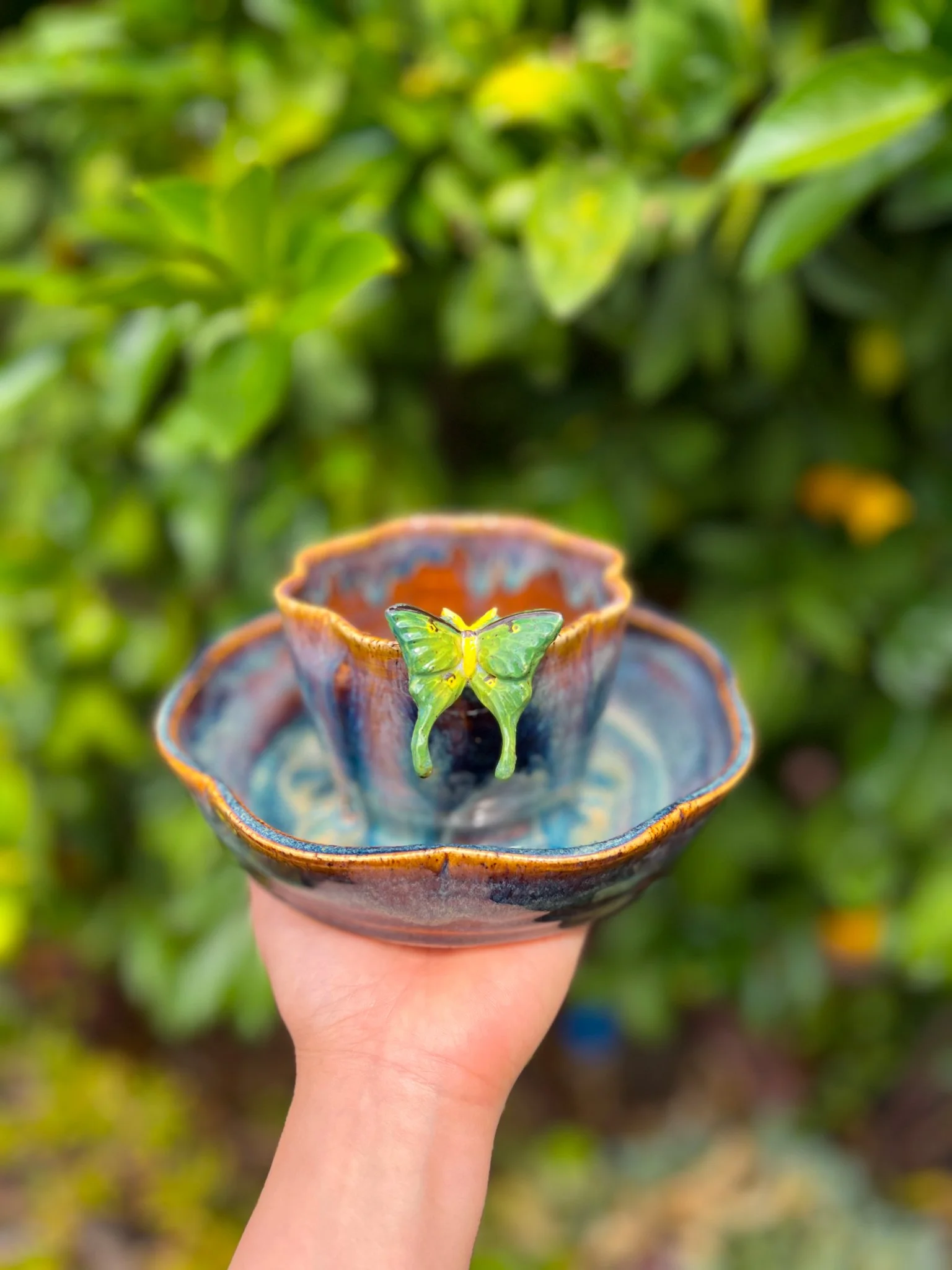 Aurora B (8 petal, luna moth)