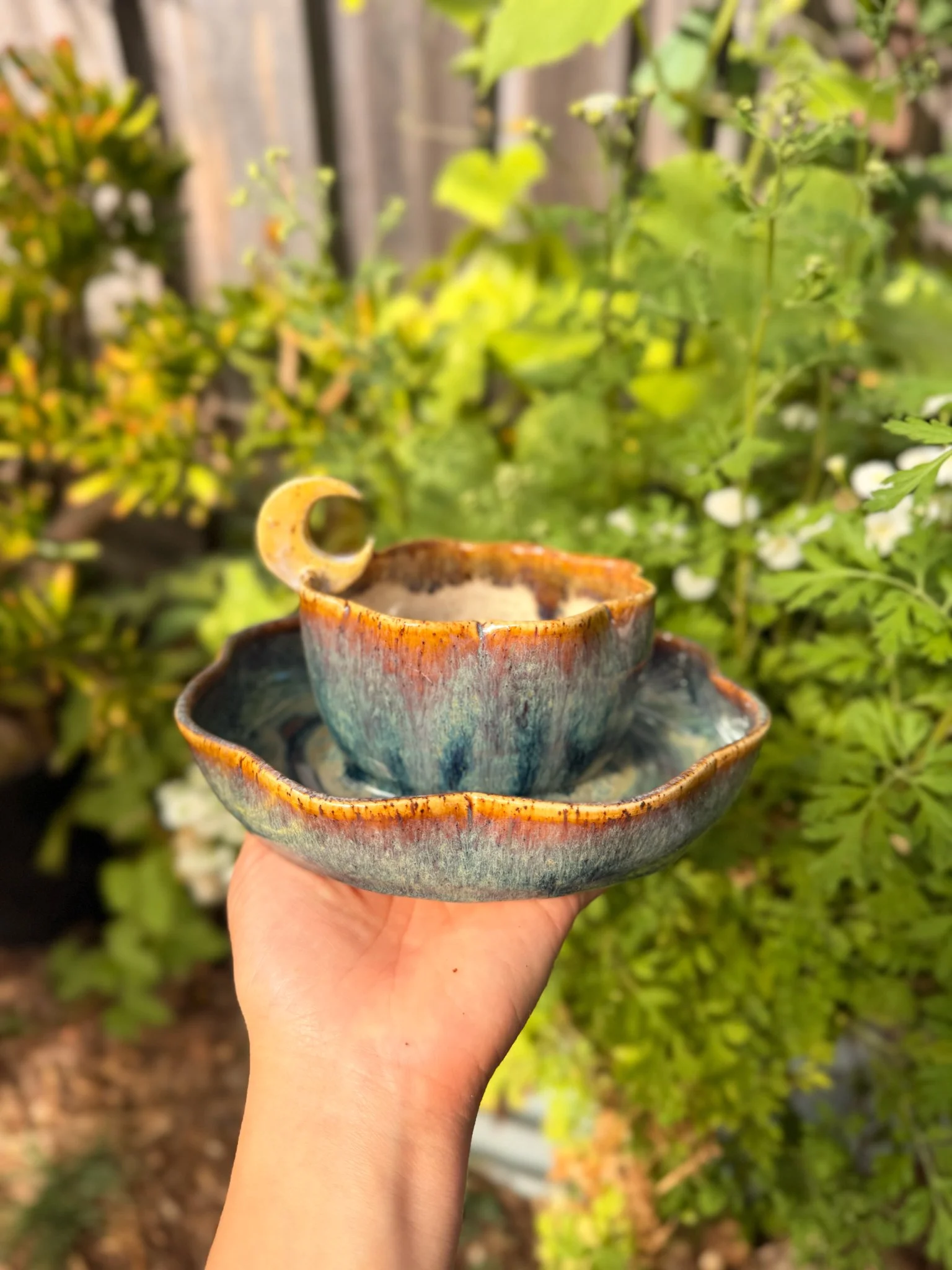 Aurora D (8 petal, crescent)