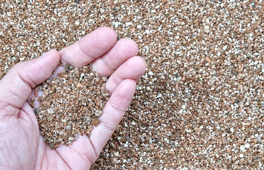 vermiculite.webp