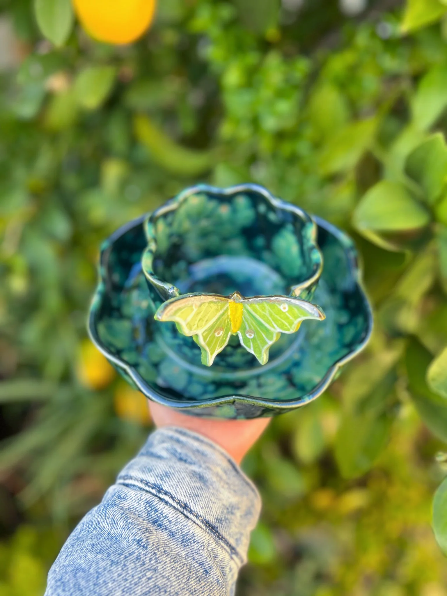 Lily Pad C (8 petal, luna moth)