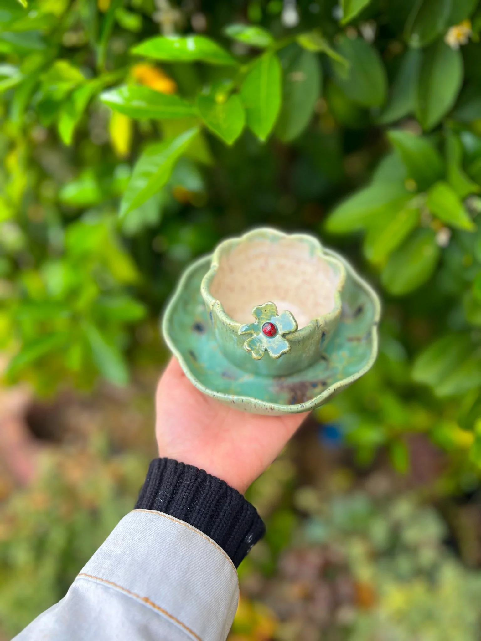 Everglade C (8 petal, ladybug on clover)