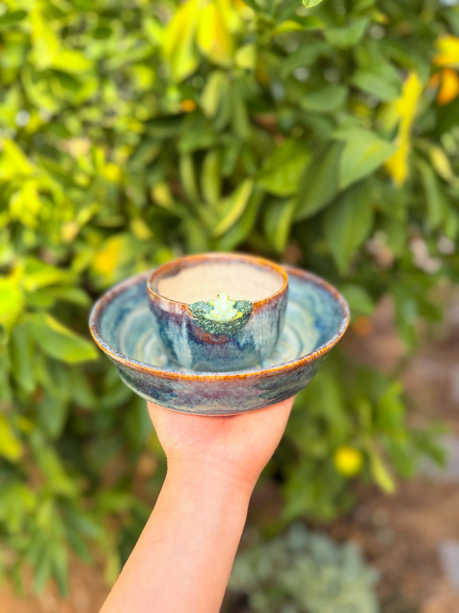 Aurora A (Round, frog)