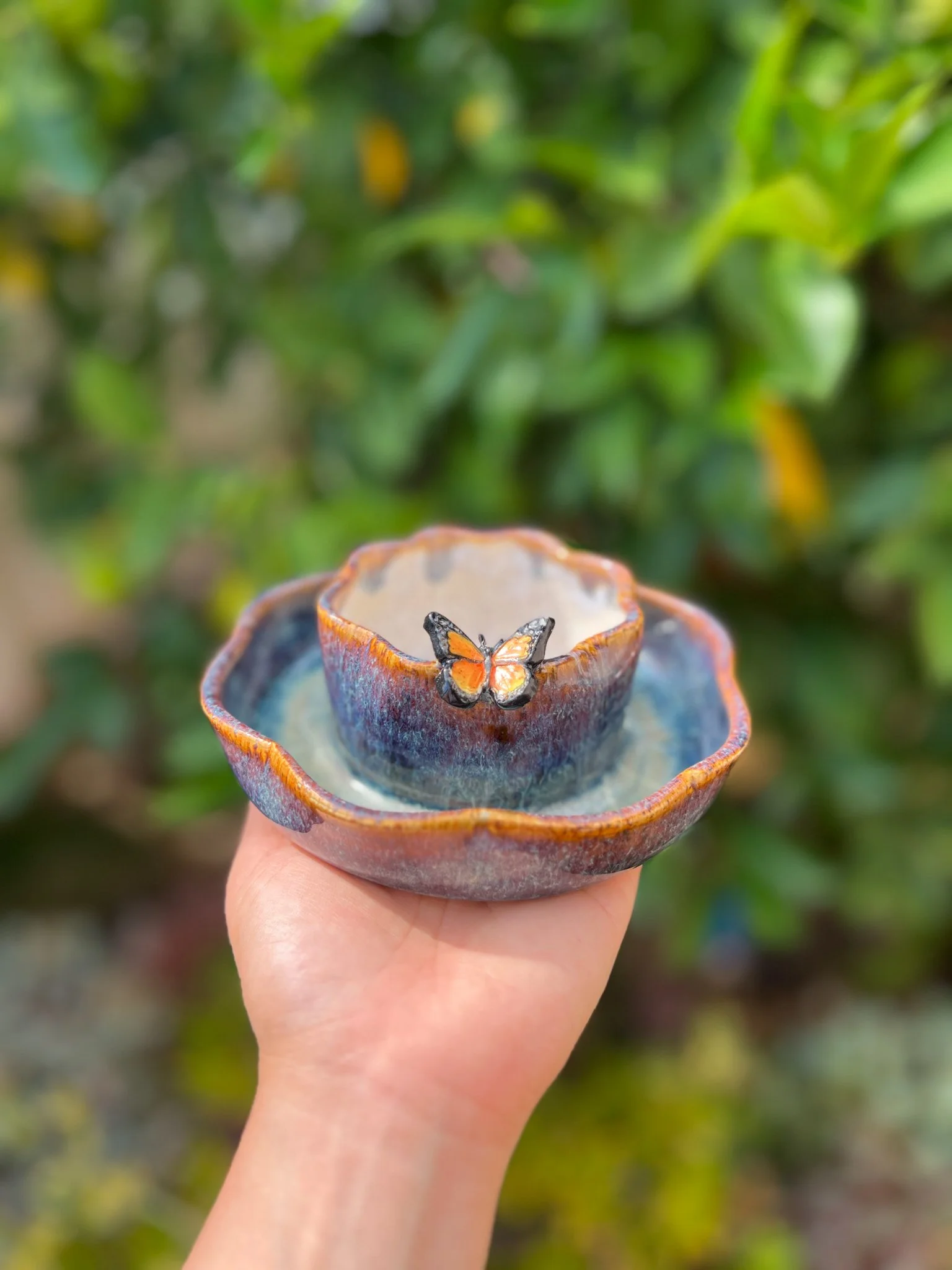 Aurora A (8 petal, monarch)
