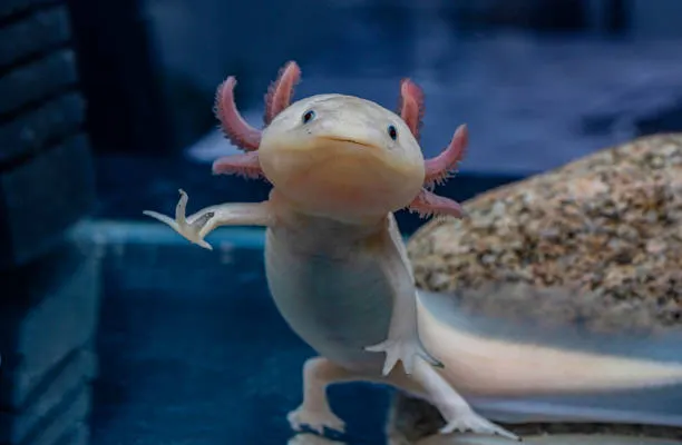 Untitled.png